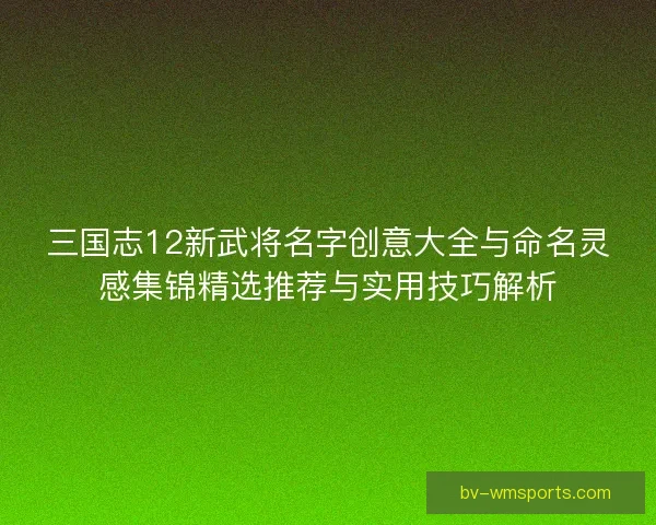 三国志12新武将名字创意大全与命名灵感集锦精选推荐与实用技巧解析