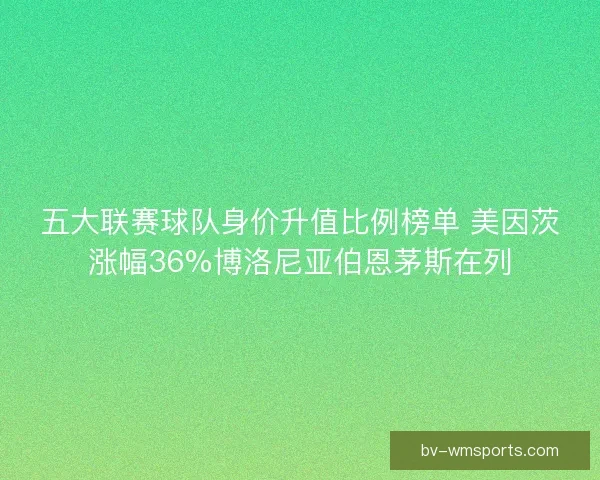 五大联赛球队身价升值比例榜单 美因茨涨幅36%博洛尼亚伯恩茅斯在列 五大联赛球队身价升值比例榜单 美因茨涨幅36%博洛尼亚伯恩茅斯在列
